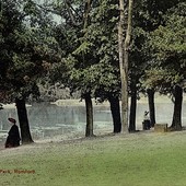 RP The Lake through the Trees c.1905